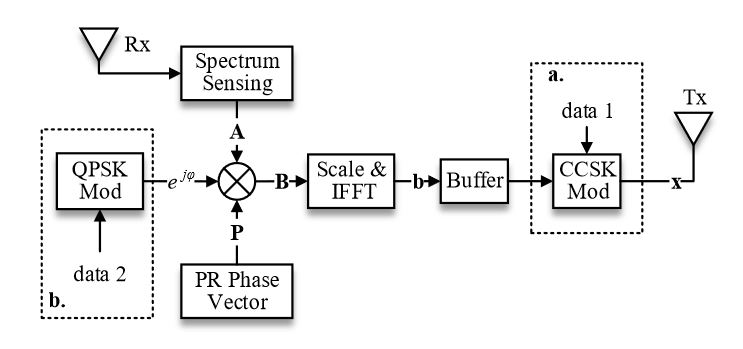 Figure 2. Block diagram of the TDCS transmitter (two modulation methods in one general diagram)